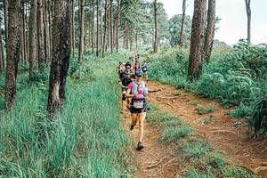 BIB: 
                            <button type="button" onclick="openModal(25654688)" class="btn btn-primary btn-sm float-right btn-popup" data-toggle="modal" data-target=".modal-high-quality">
                        <i class="fas fa-shopping-cart"></i> Add to Cart
                    </button>
                                            <button type="button" onclick="isThisMe(25654688, true)" class="btn btn-success btn-sm float-right btn-popup btn-isme hidden" data-toggle="tooltip" data-placement="bottom" title="นี่คือรูปของคุณใช่ไหม คลิกที่นี่เพื่อเอาเข้าอัลบั้ม">
                        <i class="fas fa-plus"></i> Add to album
                    </button>
                    <button type="button" onclick="isThisMe(25654688, false)" class="btn btn-warning btn-sm float-right btn-popup btn-isnotme hidden">
                        <i class="fas fa-ban"></i> Remove from album
                    </button>